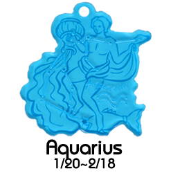 水瓶座/12星座ボールチェーン