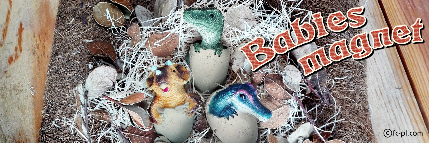 ベイビーズマグネット