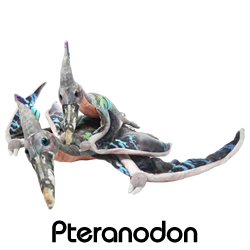 プテラノドン/ぬいぐるみ