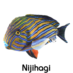 ニジハギ/ぬいぐるみ