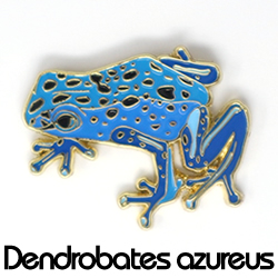 ピンバッジ/コバルトヤドクガエル