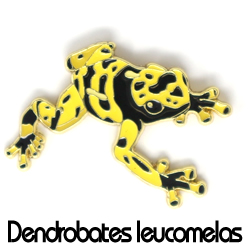 ピンバッジ/キオビヤドクガエル