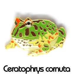 ピンバッジ/ベルツノガエル