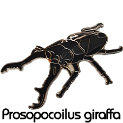 ピンバッジ/ギラファノコギリクワガタ