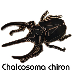 ピンバッジ/コーカサスオオカブト