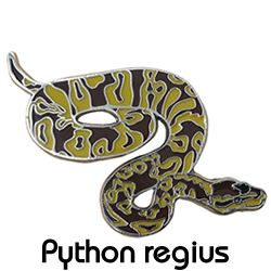 ピンバッジ/ボールパイソンスネーク