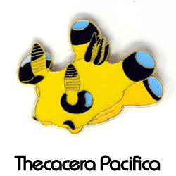 ピンバッジ/ウデフリツノザヤウミウシ