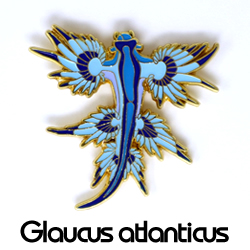 ピンバッジ/アオミノウミウシ