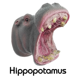 リアルマグネット/カバ