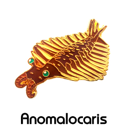 ピンバッジ/アノマロカリス