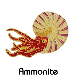 ピンバッジ/アンモナイト