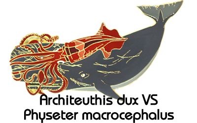 ダイオウイカVSマッコウクジラ/ピンズ