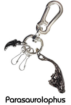 スカルカラビナ/パラサウロロフス