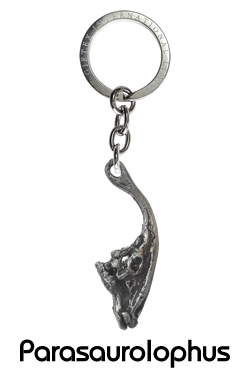 キーリング/パラサウロロフス