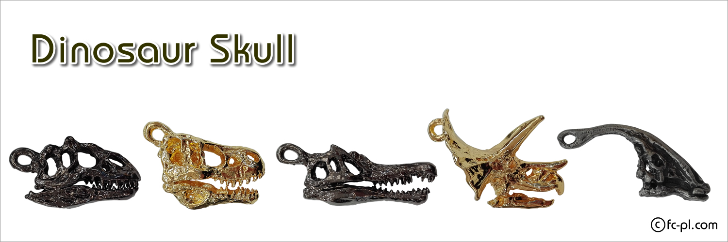 ダイナソースカル